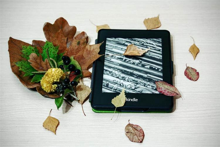 電子書的著作權議題／章忠信