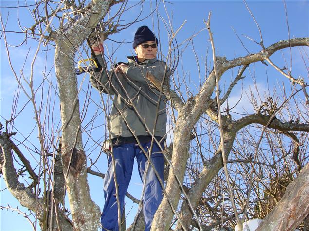 馬森老師：我居墨六年，開車被撞過七次！
