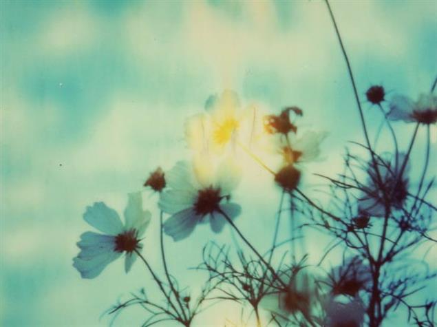 【蔡登山專欄】「張愛玲夢魘紅樓 」