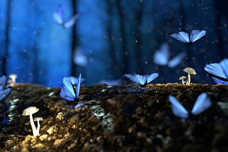 【書評〈新詩〉】寫詩寫到風景瘋了──評碧果《吶喊前後》／林德俊