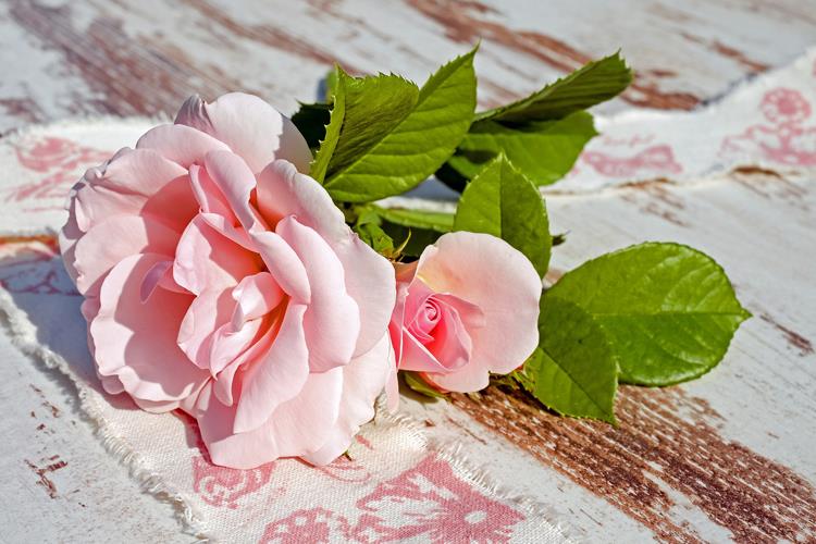 【書評】灰澀校園愛情故事──匿名告白／蒼野之鷹