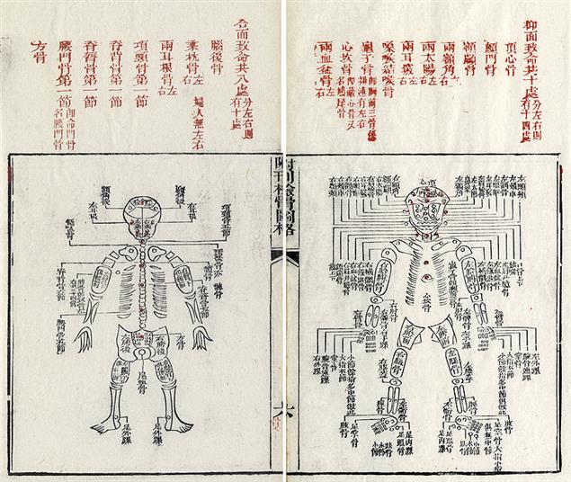 「世界法醫學」之父是中國人？鄒濬智、曾春僑現身「台灣大搜索」，肯定南宋宋慈的專業鑑定