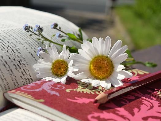 【徵文】第十屆葉紅女性詩獎，6/26截止收件，最高獎金十萬元