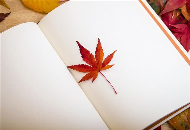 臺灣文學翻譯出版補助計畫8月1日起移回文化部辦理