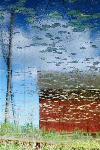 不當球評，許昭彥出版《水中畫影》展現深厚的攝影功力與美感