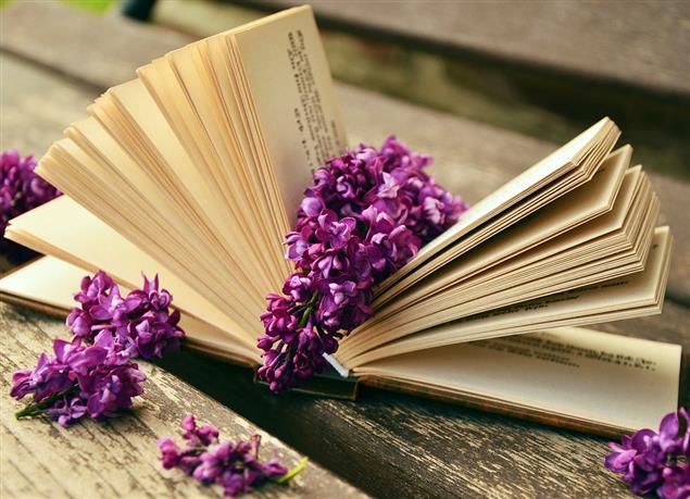 文化部公布「第37次中小學生優良課外讀物評選推介活動」 獲選書籍