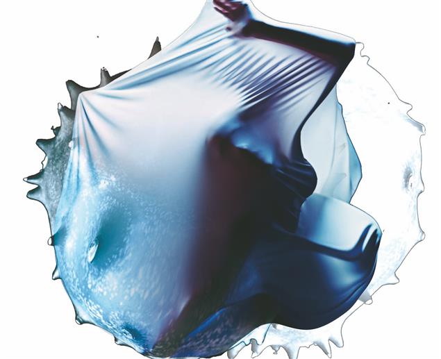 台灣推理作家協會第十三屆徵文獎作品集：《寂寞球體》，準決選評審會議紀錄