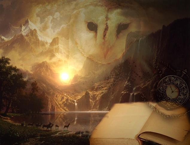 走讀家鄉　一書一城市：南投縣書票選活動