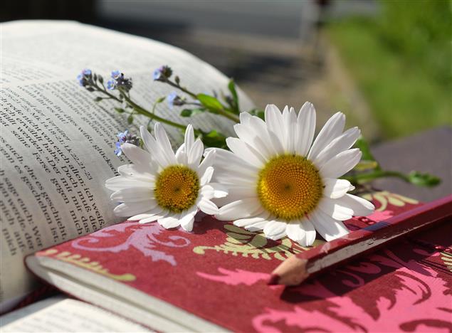 屏東雲端公共電子書庫上線   縮短城鄉差距、培養文化競爭力