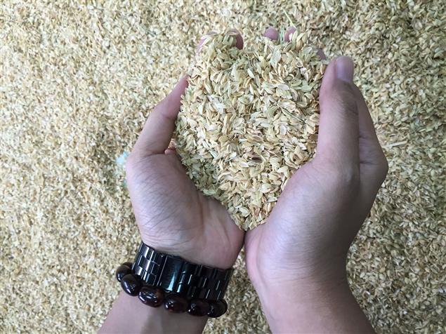 【2016台北國際書展】你踩過米糠嗎？！來秀威攤位就有機會體驗喔